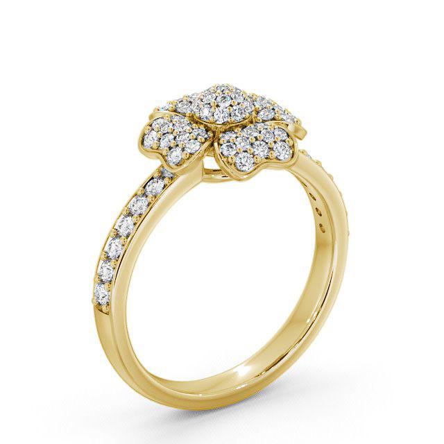 Cluster Round Diamond 0.45ct Ring 9K Yellow Gold - Leona CL20_YG_HAND