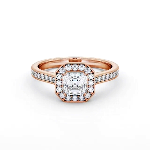 Blaire ENAS12_RG_FLAT