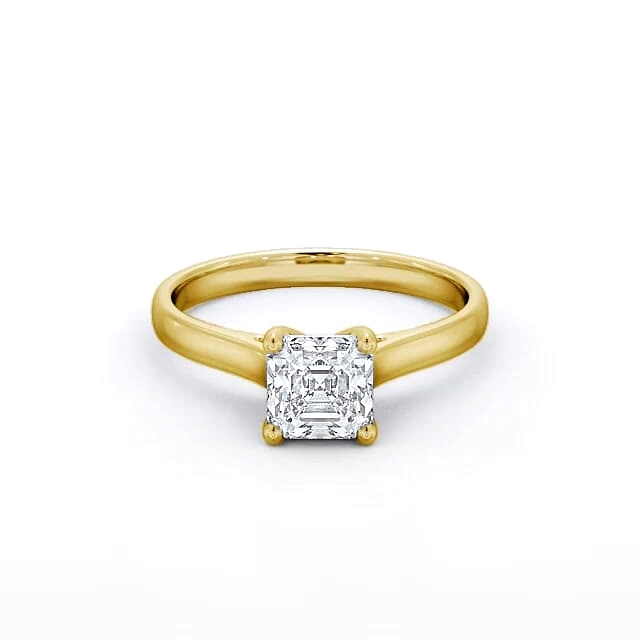 Kenedi ENAS16_YG_FLAT