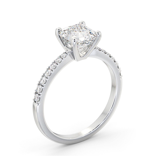 Sanaya ENAS20S_WG_SIDE