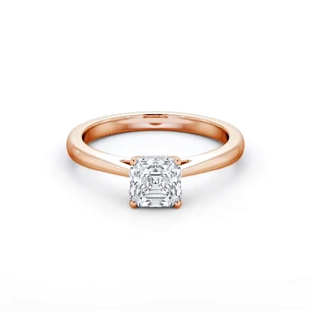 Tanvi ENAS23_RG_FLAT