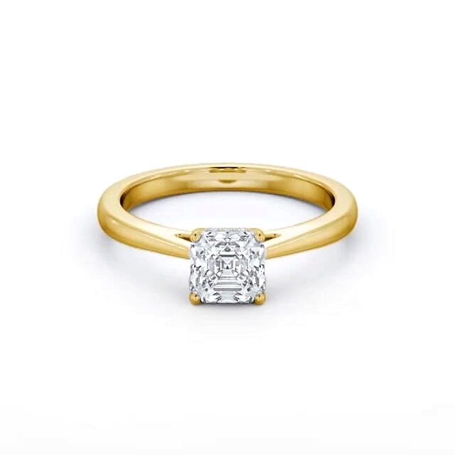 Tanvi ENAS23_YG_FLAT