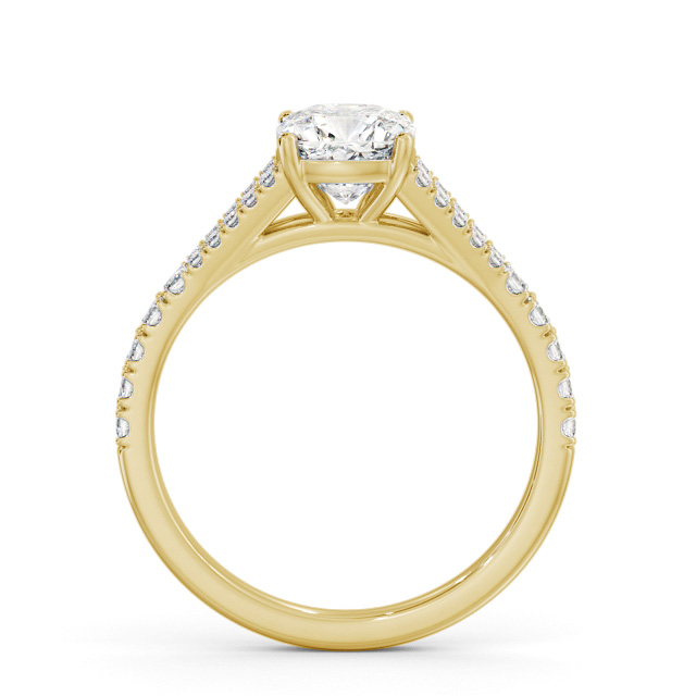 Arizona ENCU32S_YG_UP