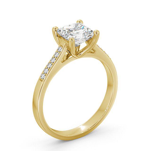 Princess Diamond Engagement Ring 9K Yellow Gold Solitaire With Side Stones - Lucinda ENPR14S_YG_HAND