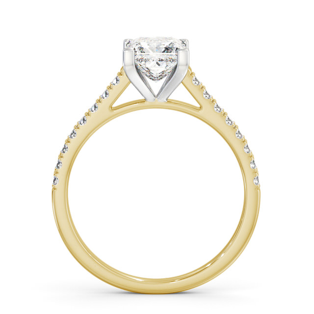 Jermani ENPR44_YWG_UP