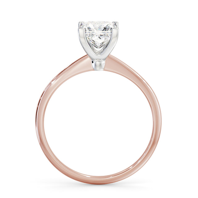 Mattison ENPR58_RWG_UP