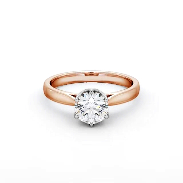 Cornelia ENRD137_RWG_FLAT