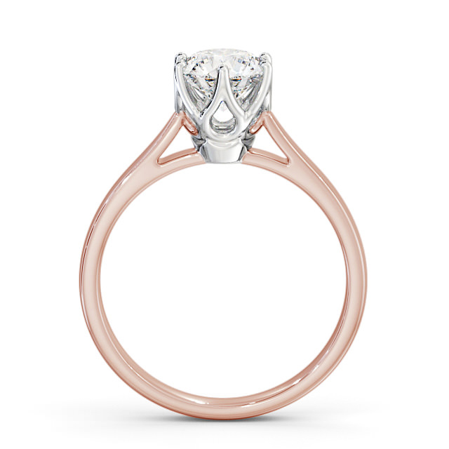 Cornelia ENRD137_RWG_UP