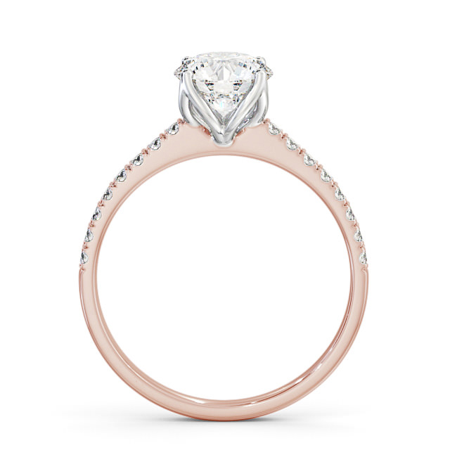 Taylin ENRD144S_RWG_UP