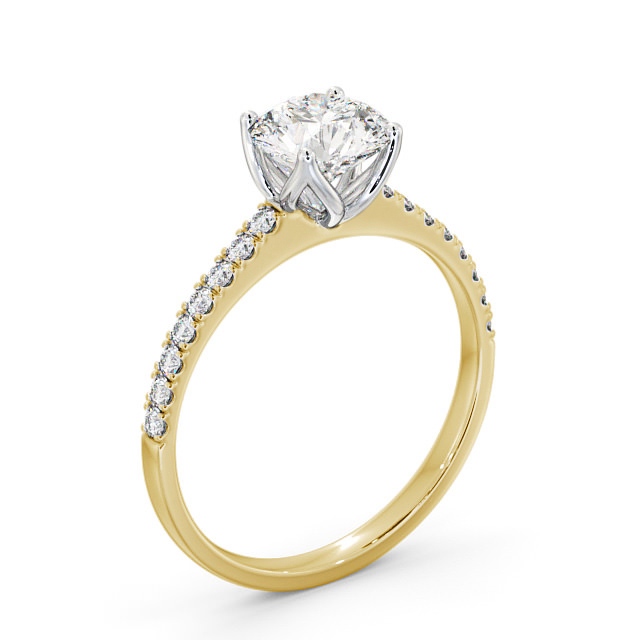 Taylin ENRD144S_YWG_SIDE