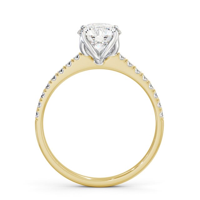 Taylin ENRD144S_YWG_UP