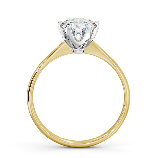 Elana ENRD151_YWG_UP