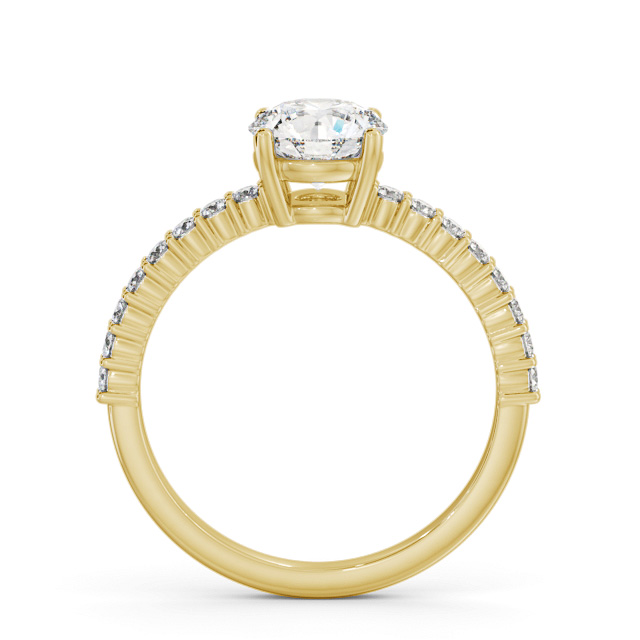 Katara ENRD198S_YG_UP