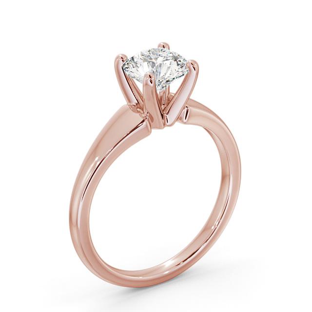 Briley ENRD206_RG_SIDE