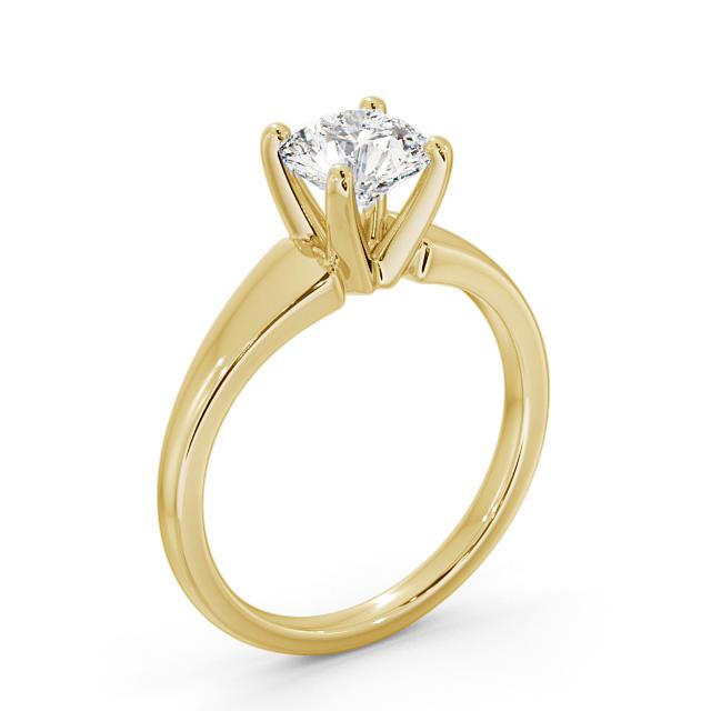 Briley ENRD206_YG_SIDE