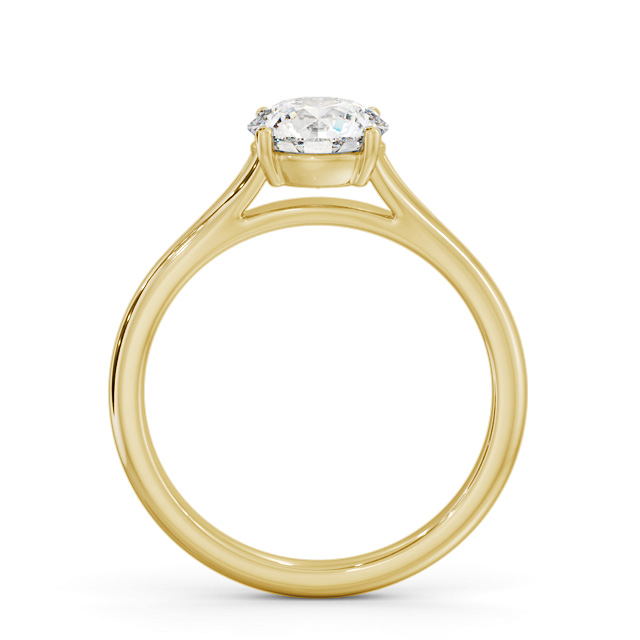 Halley ENRD213_YG_UP