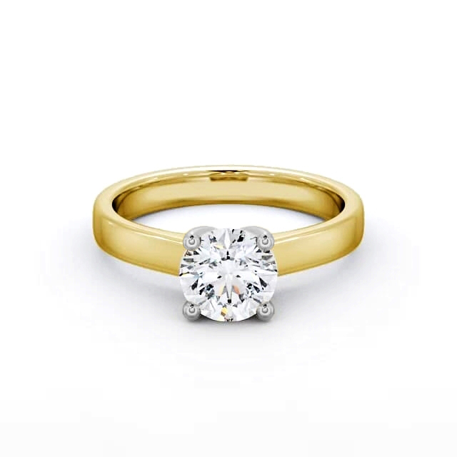 Carrie ENRD3_YWG_FLAT