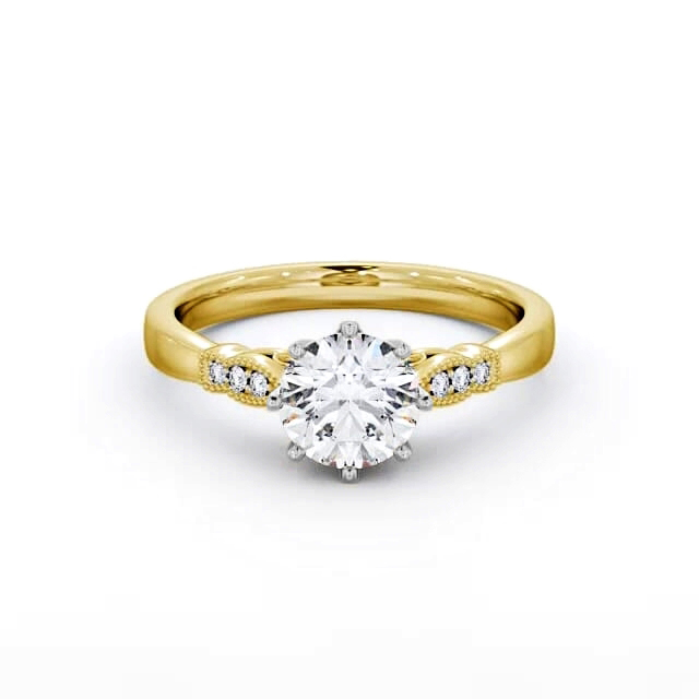 Marlene ENRD81_YWG_FLAT