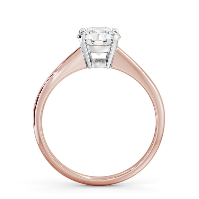 Savannah ENRD91_RWG_UP