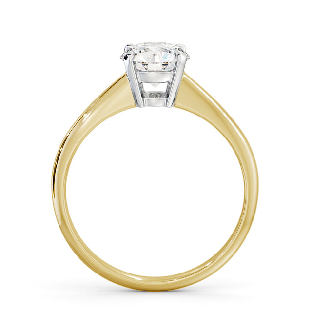 Savannah ENRD91_YWG_UP