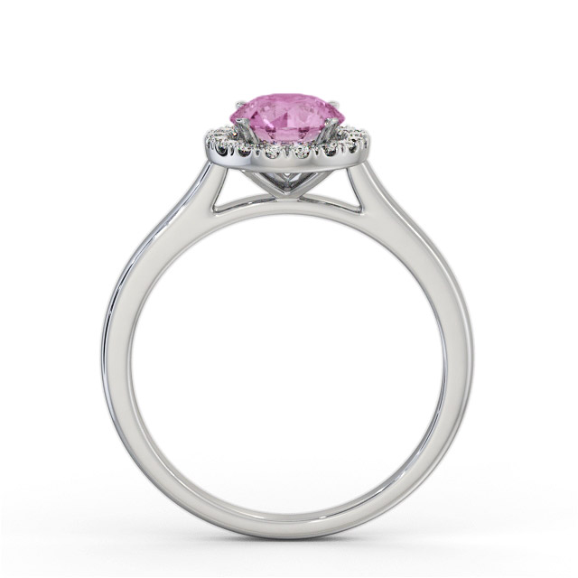 Daviana GEM66_WG_PS_UP