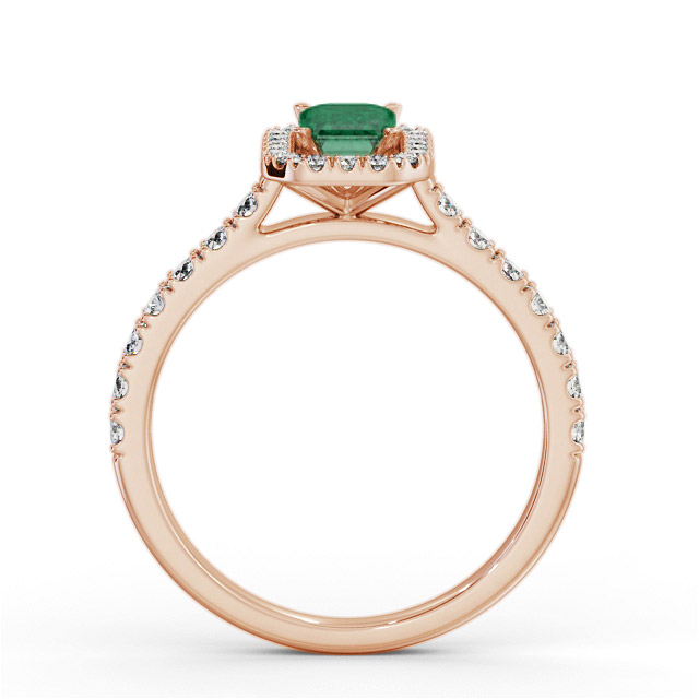 Conley GEM71_RG_EM_UP