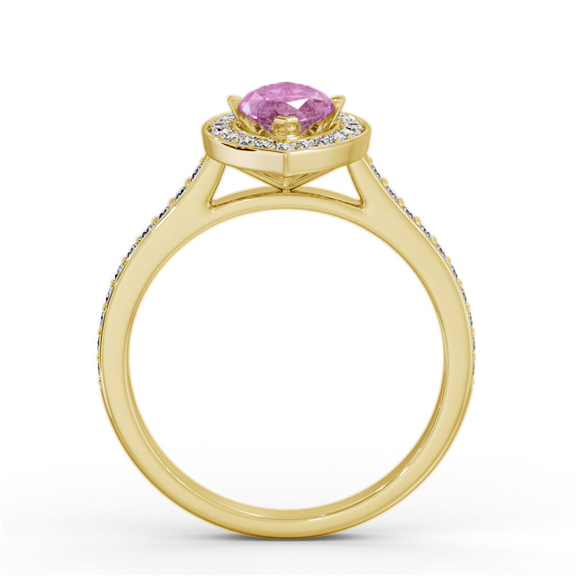 Amity GEM83_YG_PS_UP