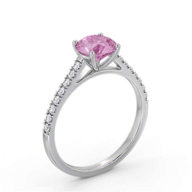 Alaska GEM86_WG_PS_SIDE