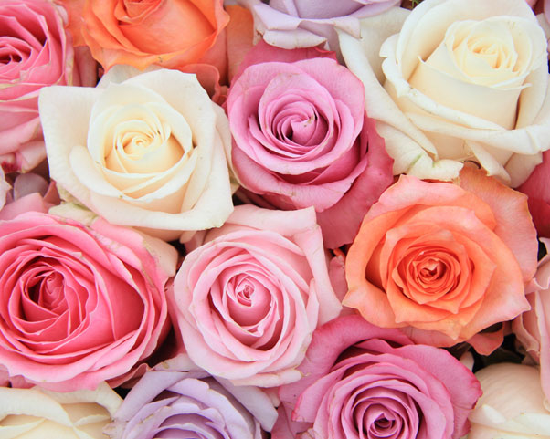 Pick a pastel palette